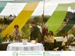 Festival Mar de Tethys 2026 - Bodega Vetas